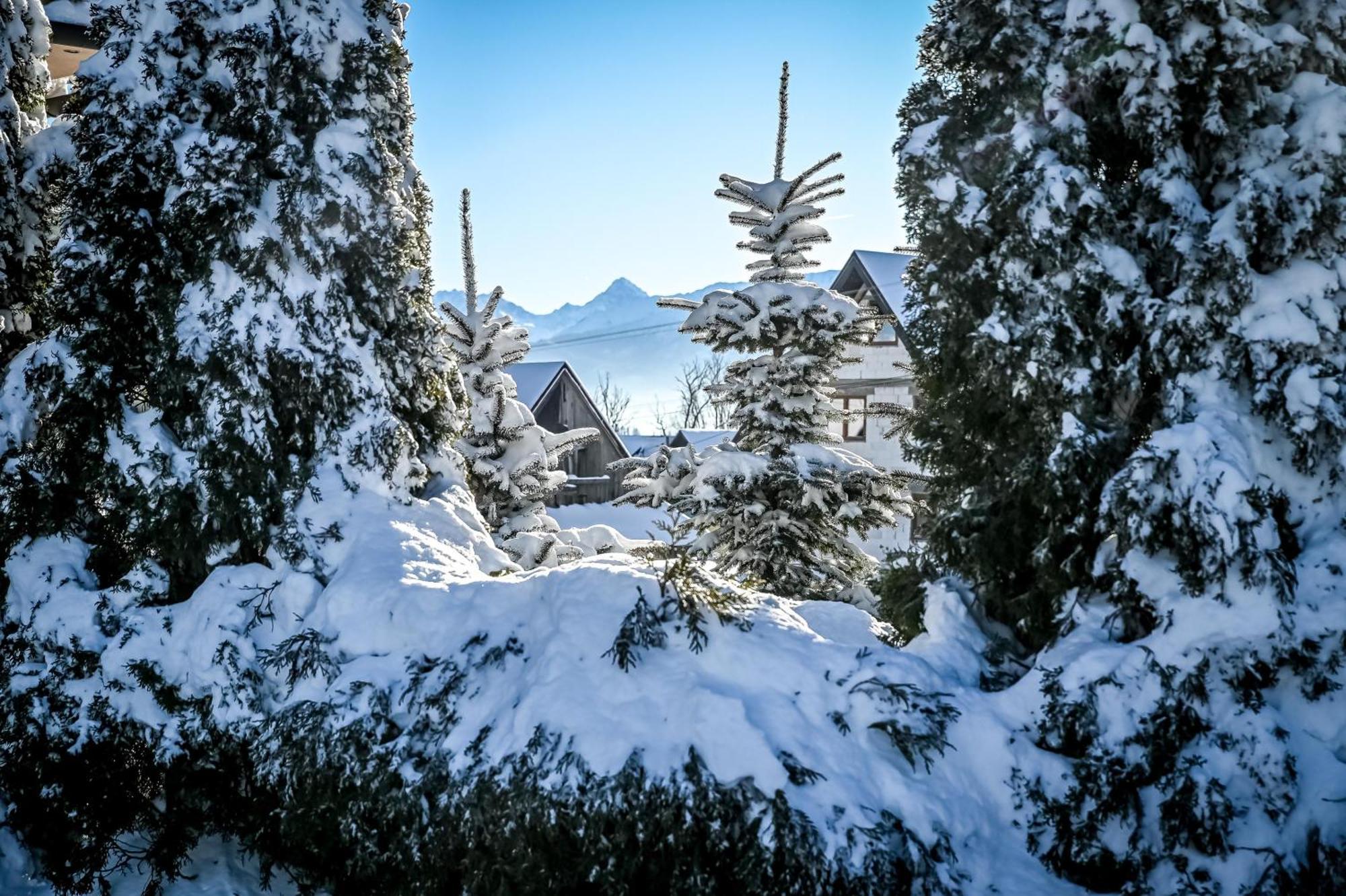 U Zosi Chalet